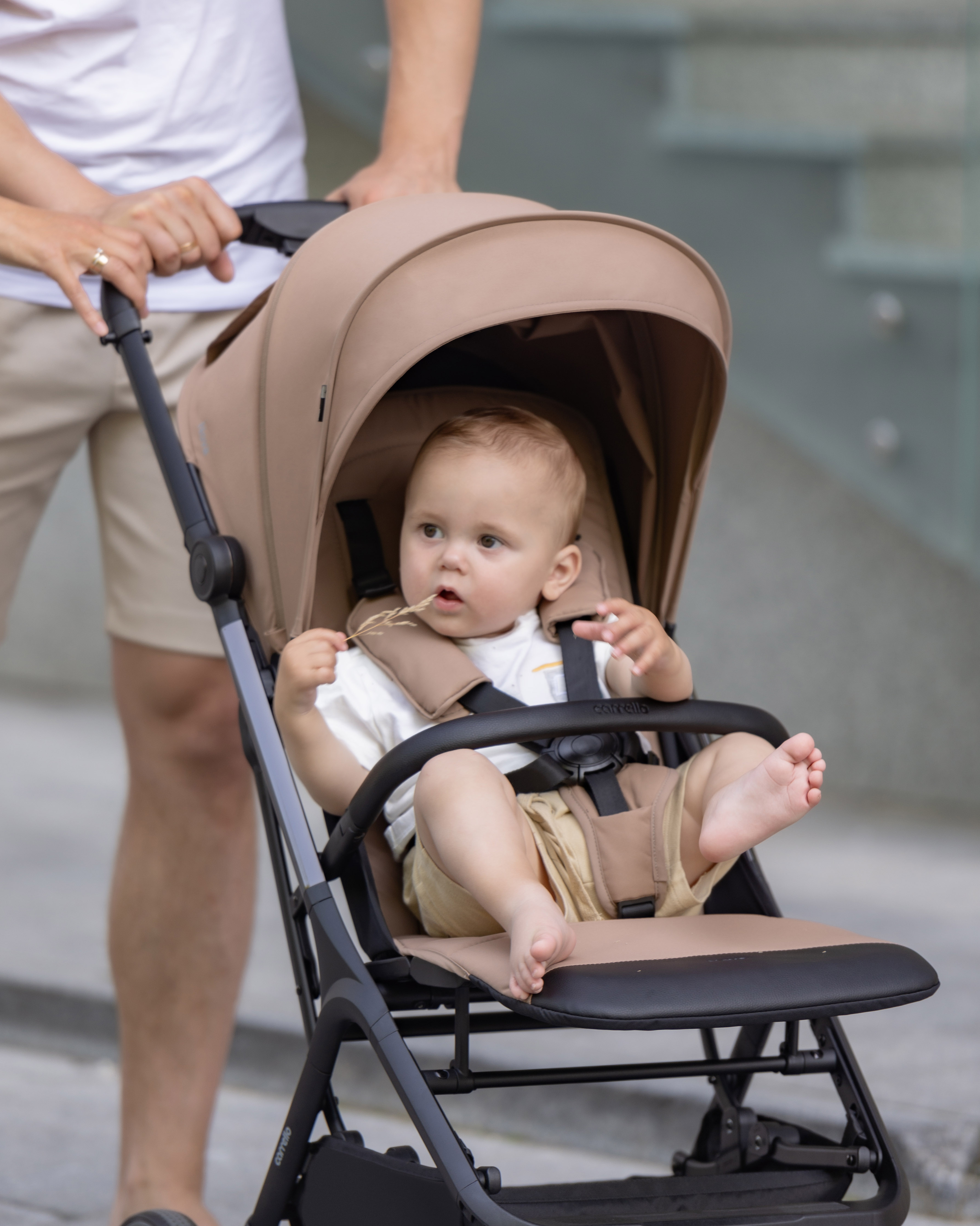 Прогулочная коляска Nova